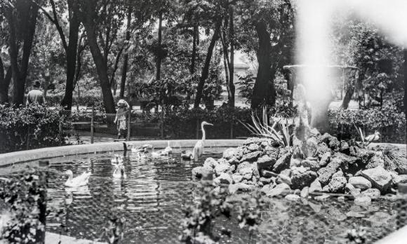 Parque Hidalgo, fuente con patos (19 de julio de 1925) 