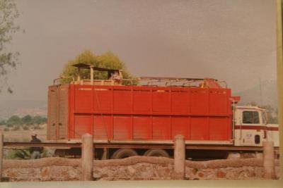 Traslado de jirafa al Zoológico de León