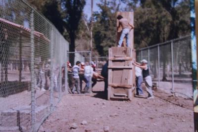 Adaptación de nueva especie 