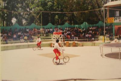 Espectáculo circense en las instalaciones del Zoológico de León  