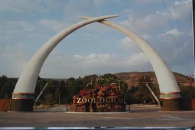 Colmillos de elefante en la entrada principal del Zoológico de León 