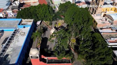 Video clip informativo sobre el Jardín Allende 
