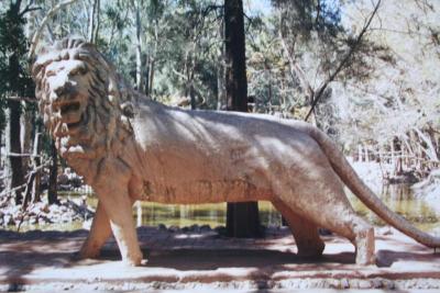 León recibe a visitantes del zoológico