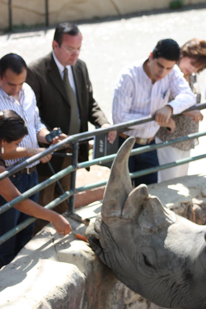 Visita al rinoceronte del zoológico 