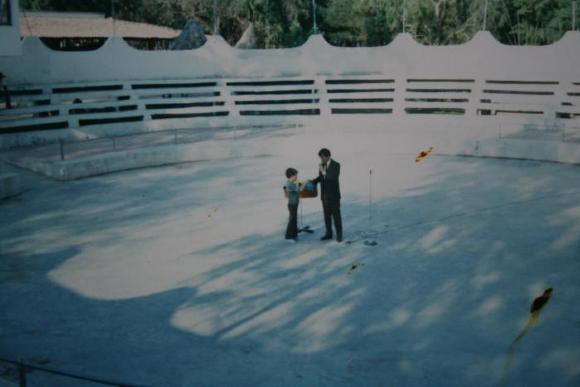 Niño participando en evento del zoológico 