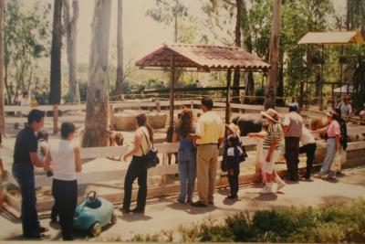 Visitantes del Zoológico en 