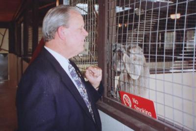 Visita a koala 