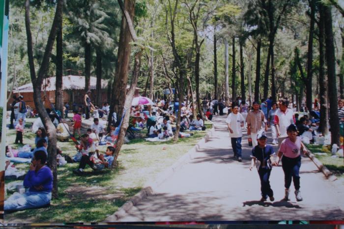 Familias disfrutan del día en el zoológico 