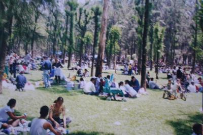 Domingo familiar en el zoológico 