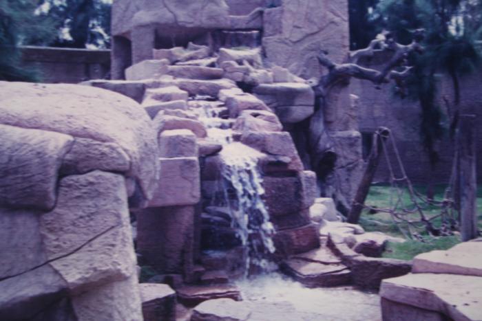 Cascada del hábitat de los orangutanes 