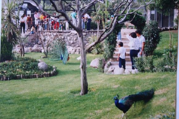 Aviario del zoológico 