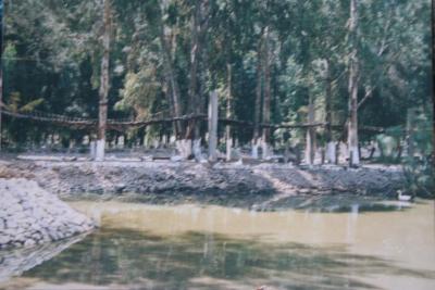 Puente del zoológico en hábitat de los changos 