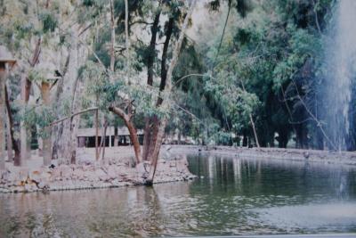 Lago de los monos 