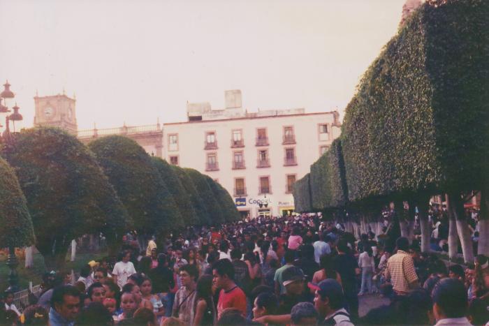 Jardín Principal en combate de flores 