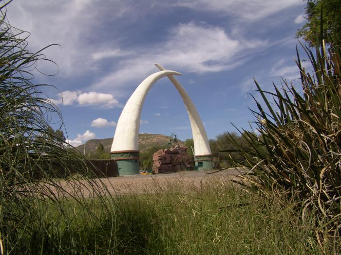 Colmillos de elefante dan la bienvenida al zoológico 