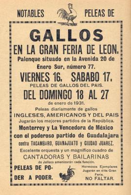Notables peleas de gallos en la gran Feria de León, 1931 