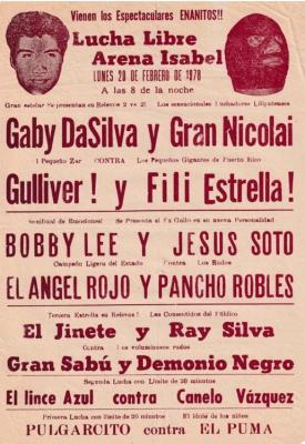  Lucha libre Arena Isabel