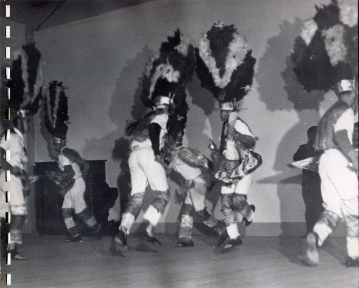 Danza de la Pluma