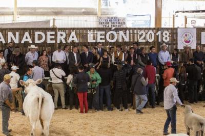 Feria ganadera de la feria estatal de León 