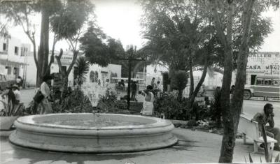 Fuente de la placita de las vigas