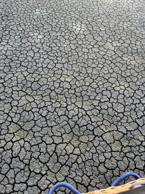 La presa El Palote 2023