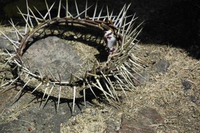 Corona de espinas 