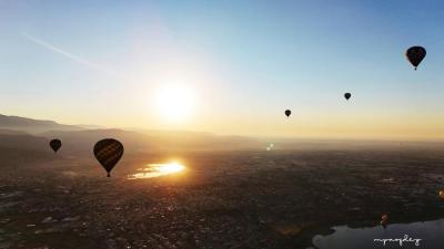 Globos aerostáticos en el Festival del Globo