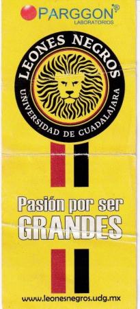Boleto Leones Negros vs León, Apertura 2009