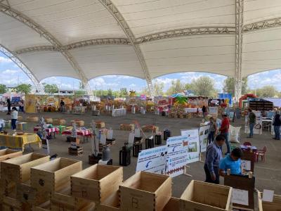 Festival Vive León verano 2023
