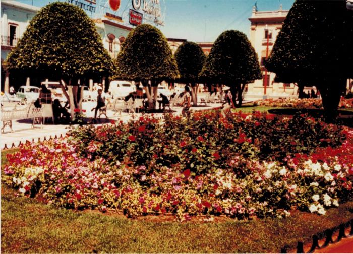 Jardín frente a Presidencia Municipal 