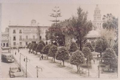 Jardín Principal con árboles y palmeras 