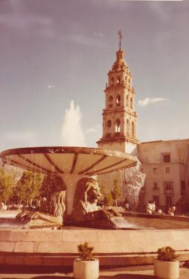 Fuente de los Leones, 1981