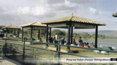 Presa del Palote (Parque Metropolitano)